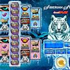 siberian storm dual play slot